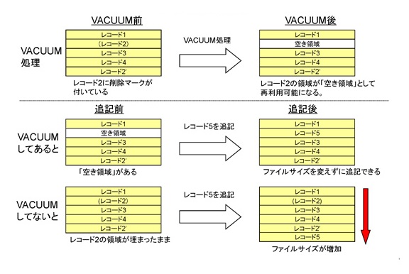 VACUUM処理